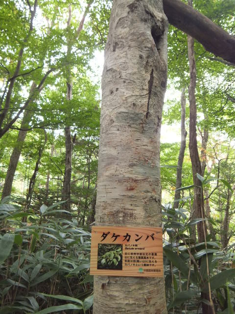 a0271502_21573152.jpg