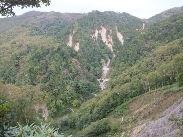 a0271502_21581141.jpg