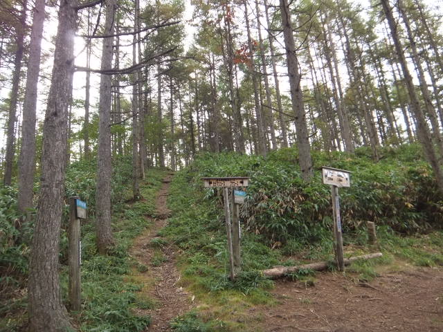 a0271502_21584416.jpg