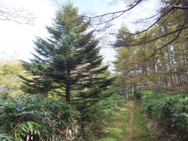a0271502_21593165.jpg