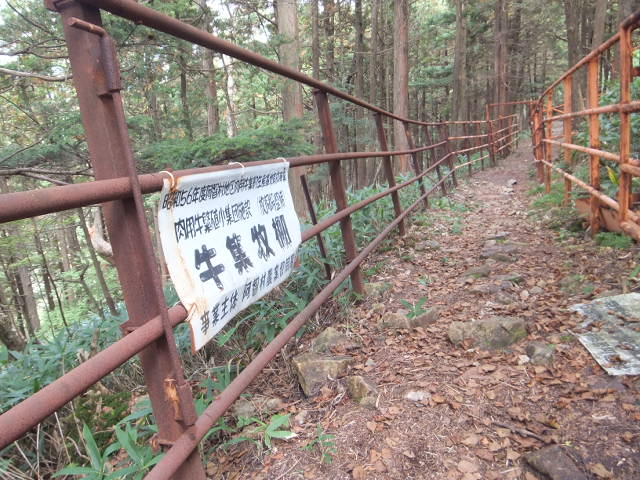 a0271502_2211220.jpg