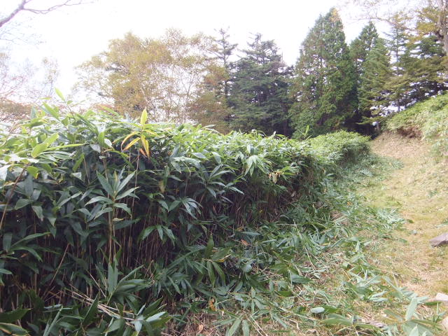 a0271502_22131571.jpg