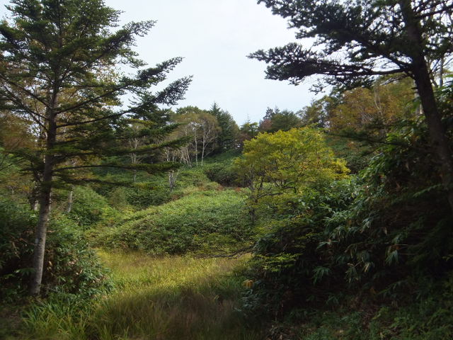 a0271502_2273996.jpg