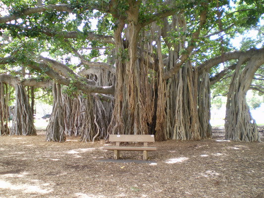 c0137507_9563750.jpg