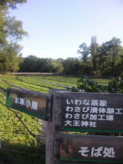 f0069907_20542317.jpg