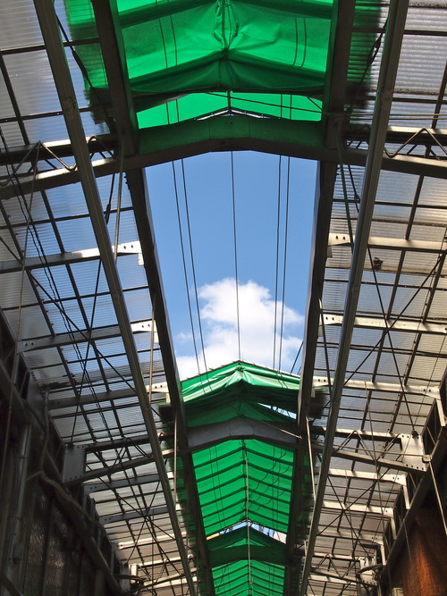 a0230008_2243577.jpg