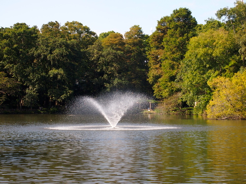 a0230008_2433190.jpg