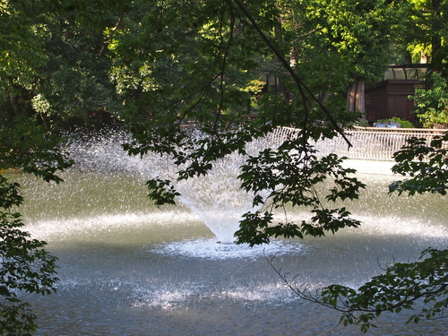 a0230008_2452021.jpg