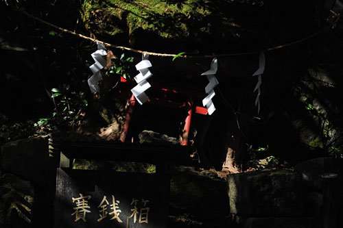 a0278809_11164521.jpg