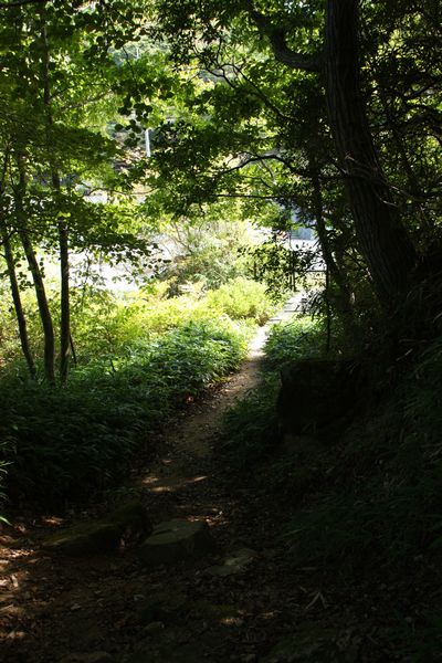 a0203510_15474277.jpg