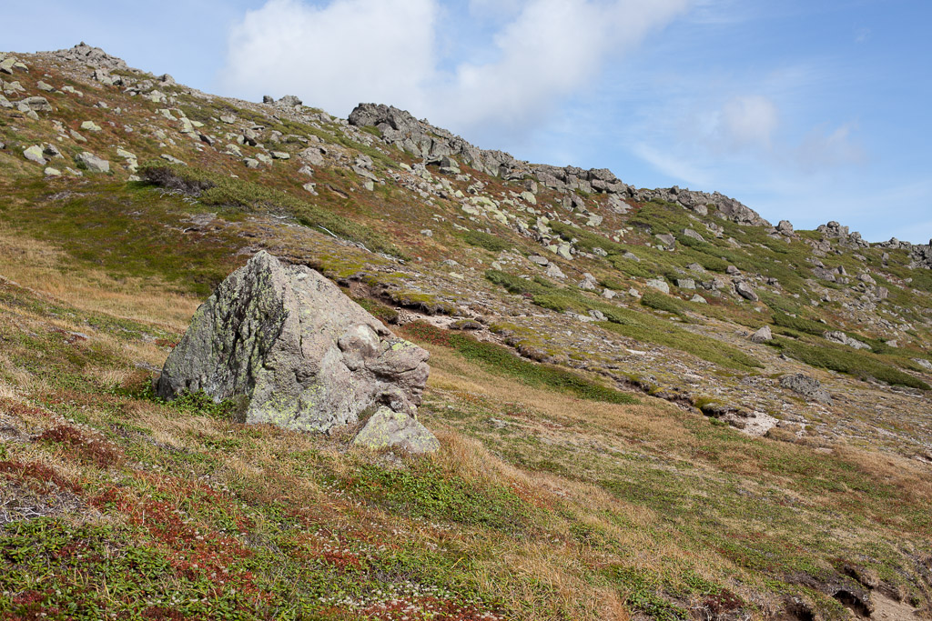 c0073613_21461390.jpg