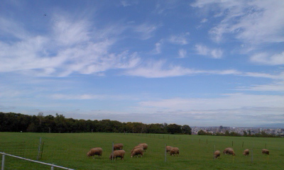 f0207320_14394263.jpg