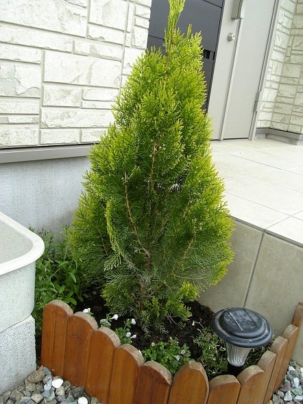 b0199924_18233010.jpg
