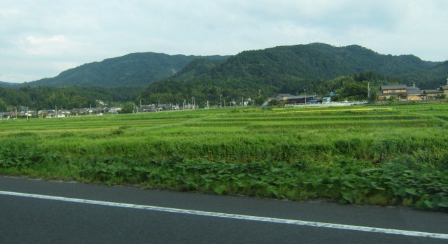 d0033734_19563045.jpg