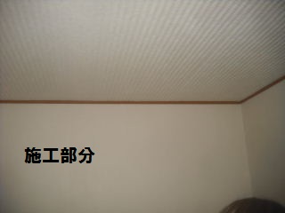 15.5日目の作業_f0031037_21381363.jpg