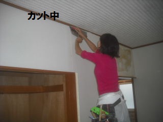 15.5日目の作業_f0031037_2138271.jpg
