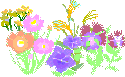 a0216142_23355175.gif