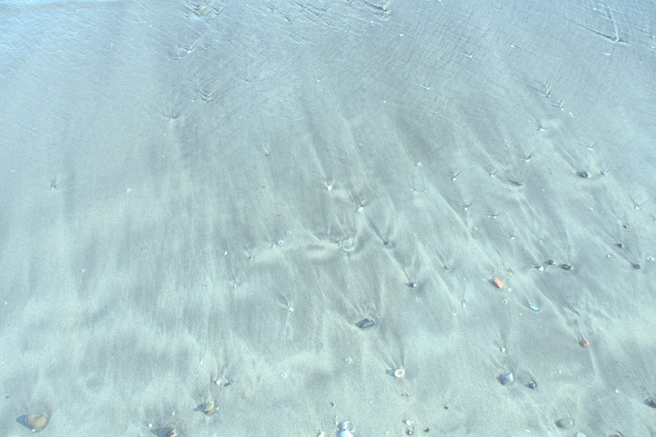 e0199945_23385584.jpg