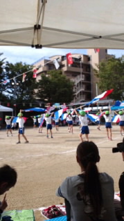 保育園の運動会_b0236646_23301564.jpg