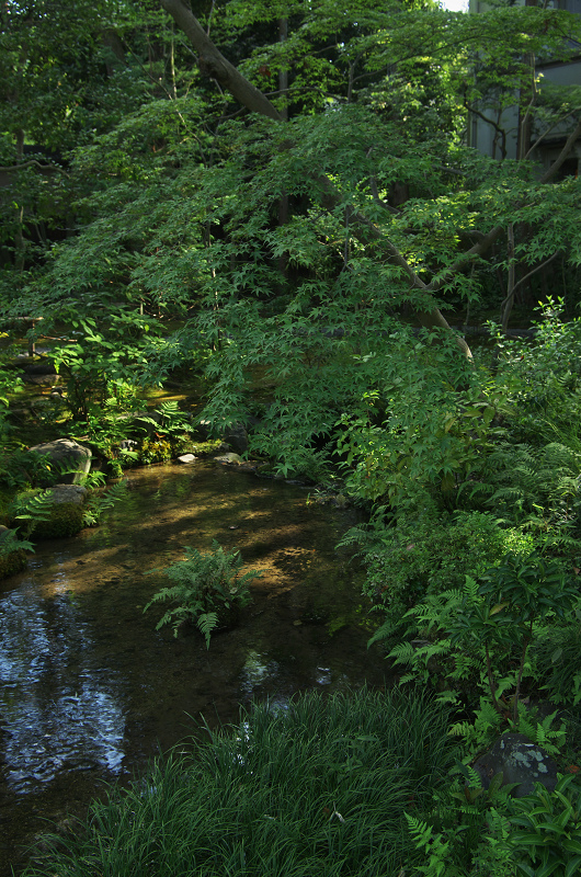 無鄰庵の名庭_f0155048_21471474.jpg