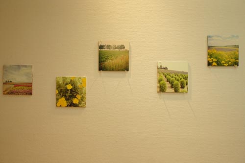 e0040957_1201062.jpg
