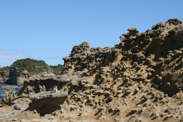 b0137459_00645.jpg