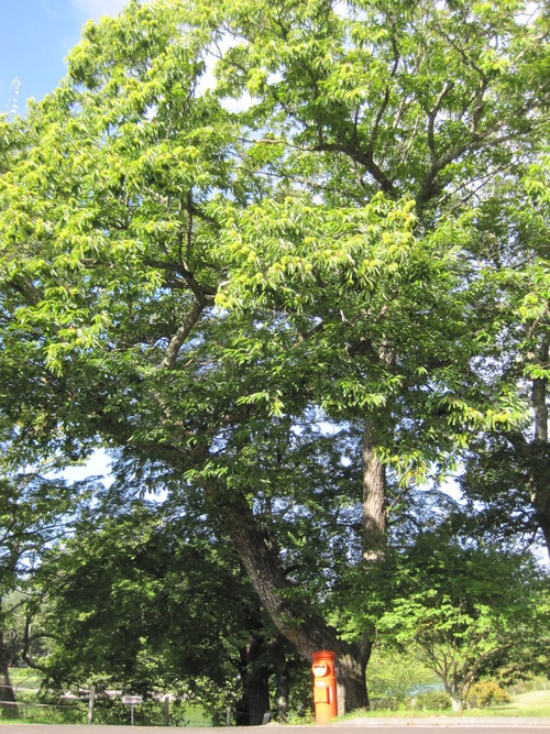 f0236260_1158350.jpg