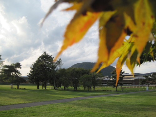 f0236260_16311896.jpg