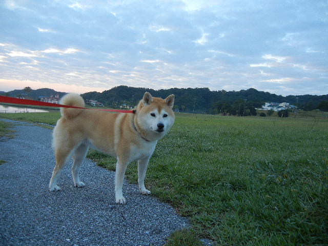 ’12,10,6(土)朝の強制目覚まし時計!_f0060461_12233640.jpg