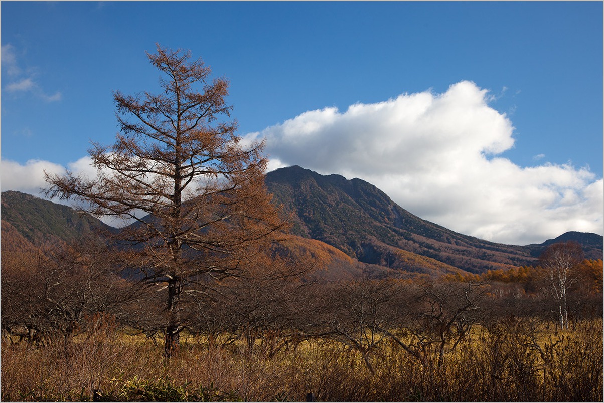 日光の紅葉_a0261169_18154342.jpg