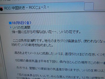 ソバの花、ニュースに登場_e0175370_18163324.jpg