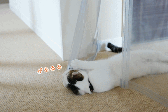a0266372_19141966.gif