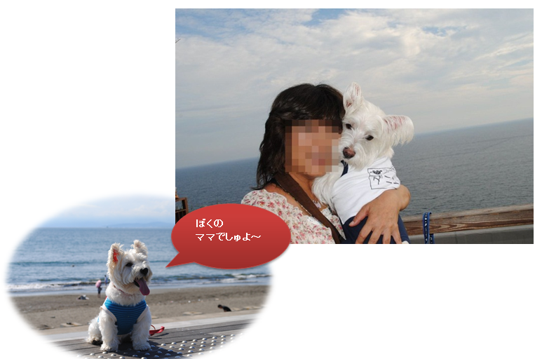 b0242873_2343012.png