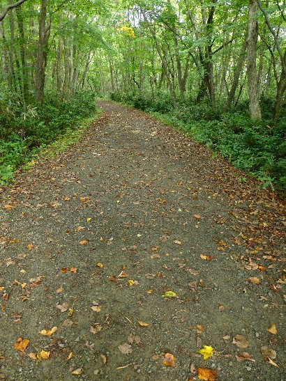 d0084473_20194455.jpg
