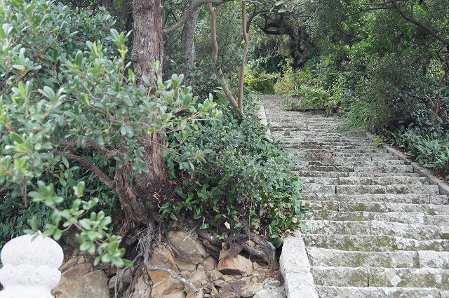 e0181373_21481829.jpg