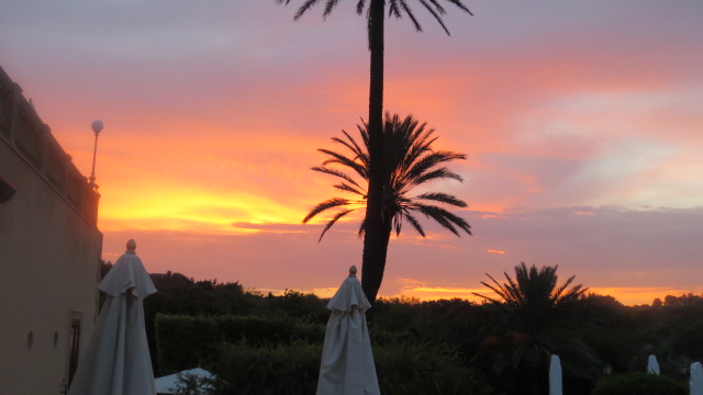 e0212073_1621328.jpg