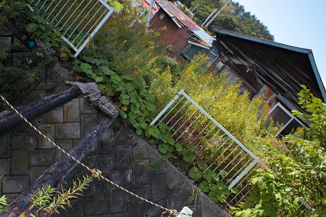 d0255874_5464310.jpg