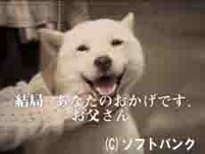土鍋 ソフトバンク ボス 2時46分_c0139575_374254.jpg