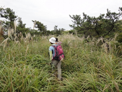 1年1ヶ月振りの天山（佐賀県小城市）_d0182075_17522471.jpg