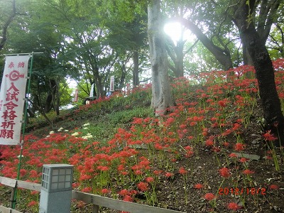 上野公園の大仏さま（合格大佛）_a0185783_16112987.jpg