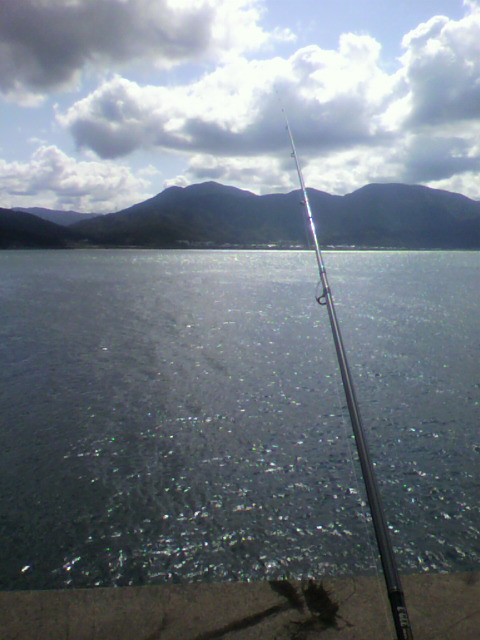 e0223584_842316.jpg