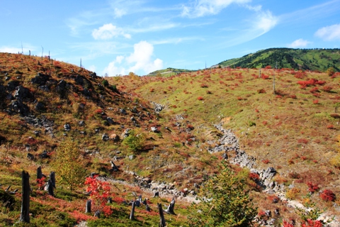 草津白根山-芳ヶ平湿原散策_e0162089_8291610.jpg