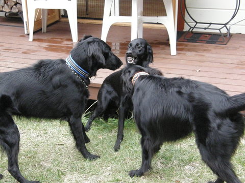 c0238292_20151924.jpg