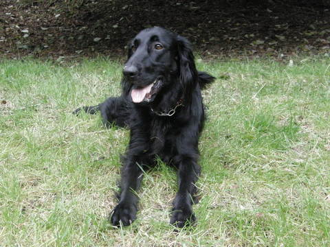 c0238292_2071648.jpg