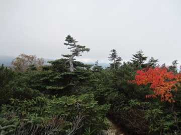 2012.10.02　台風の後の金峰山　その1_a0117599_285960.jpg