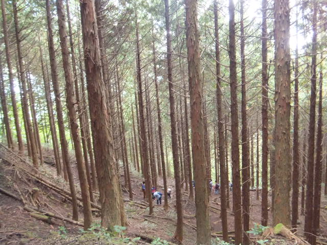 a0271502_16144015.jpg