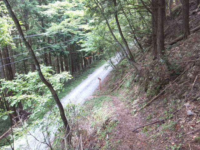 a0271502_1625345.jpg
