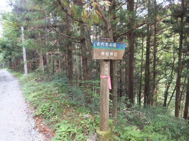 a0271502_16271377.jpg