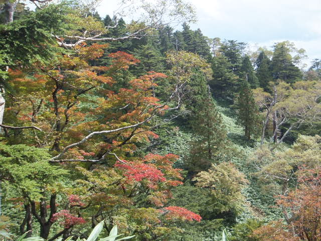 a0271502_1645140.jpg