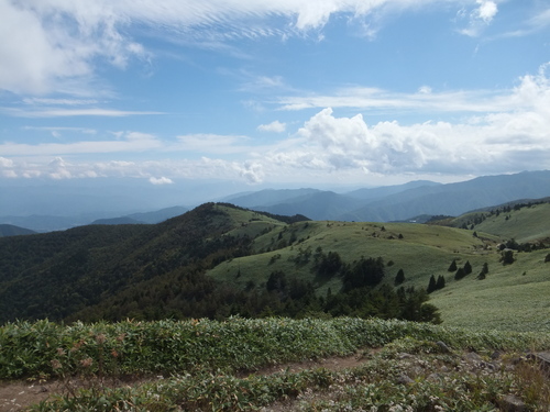 a0271502_16483649.jpg